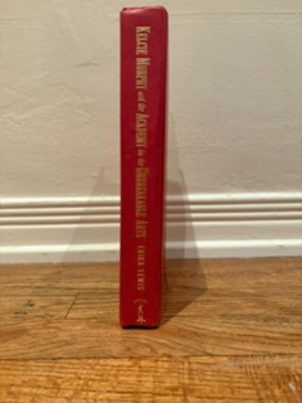 kelcie murphy and the acadimy of the unbreakable arts book